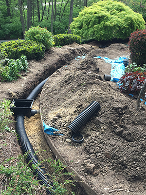 Drainage Solutions Rowlett