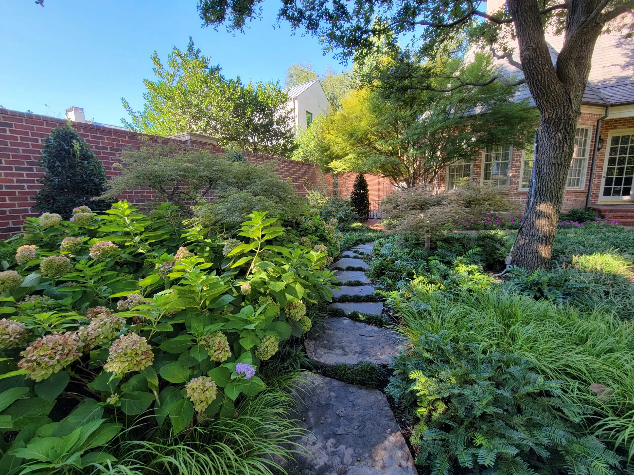 Landscape Design Rowlett